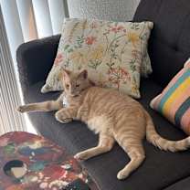 Thumbnail photo of Otis #3