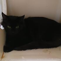 Thumbnail photo of Tim #2