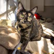 Thumbnail photo of Bridget #1