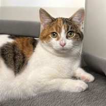 Thumbnail photo of Simone #1