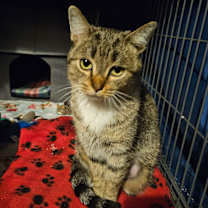 Thumbnail photo of Winnie #4