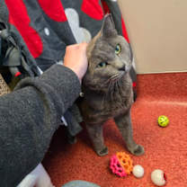 Thumbnail photo of Moka #1