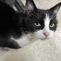 Thumbnail photo of Lydia #4