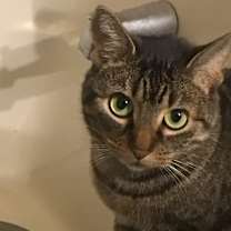 Thumbnail photo of Mila #1