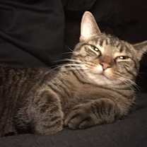 Thumbnail photo of Mila #4