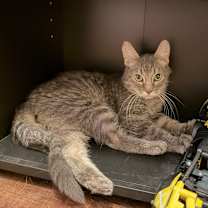 Thumbnail photo of Zeke #1