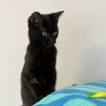 Thumbnail photo of Ashley #4