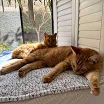 Thumbnail photo of Phillip  #4