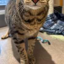 Thumbnail photo of Milton #2