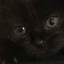 Thumbnail photo of Little Baby #1