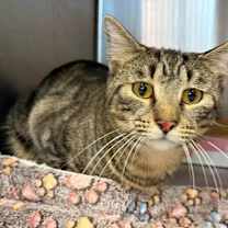 Thumbnail photo of Millie #1