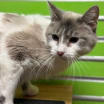 Thumbnail photo of Elenora #1