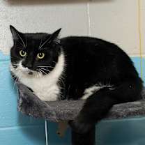 Thumbnail photo of Randy #2