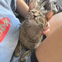 Thumbnail photo of Honey #3