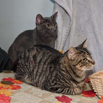 Thumbnail photo of Neil #3