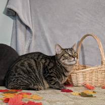 Thumbnail photo of Neil #4