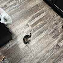 Thumbnail photo of Valencia #4