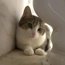 Thumbnail photo of Dusk #3