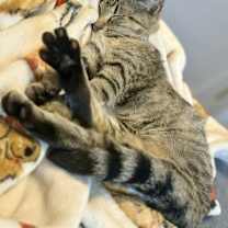 Thumbnail photo of Mae #2