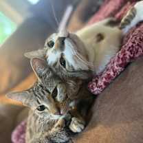 Thumbnail photo of Mae #4