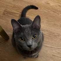 Thumbnail photo of Belle #4