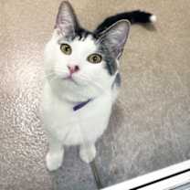 Thumbnail photo of Finley #1