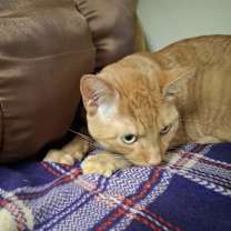 Thumbnail photo of Alex #3