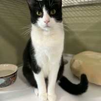 Thumbnail photo of Carrot #1