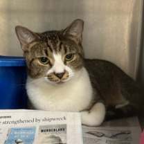 Thumbnail photo of Jody #2