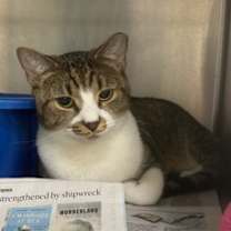 Thumbnail photo of Jody #3