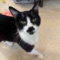 Thumbnail photo of Sally #1