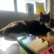 Thumbnail photo of Sofia #4