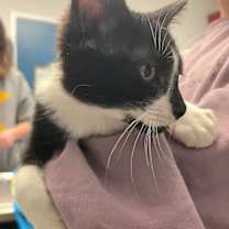 Thumbnail photo of Jordy #2