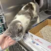 Thumbnail photo of Miranda #2