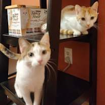 Thumbnail photo of Jasper #2