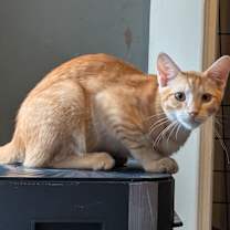 Thumbnail photo of Leroy #2