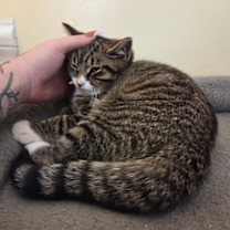 Thumbnail photo of Ethan #3