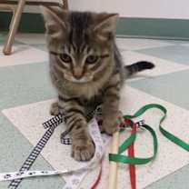 Thumbnail photo of Spunkie #1