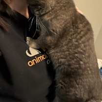 Thumbnail photo of Calida #3