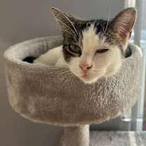 Thumbnail photo of Rosie Posey #1