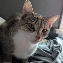 Thumbnail photo of Emma #1