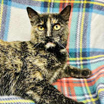 Thumbnail photo of Gumdrop #1