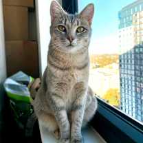 Thumbnail photo of Mrs Butterworth #1