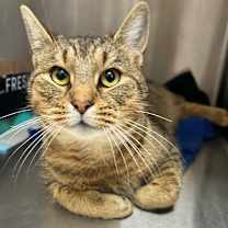 Thumbnail photo of Sammy #1