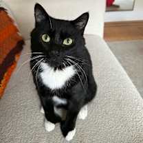 Thumbnail photo of Georgie  #1