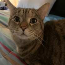 Thumbnail photo of Ruby #2