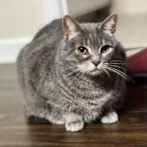 Thumbnail photo of Hiyori #3