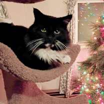 Thumbnail photo of Biggs #3