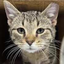 Thumbnail photo of Phone #2