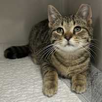 Thumbnail photo of Phone #3